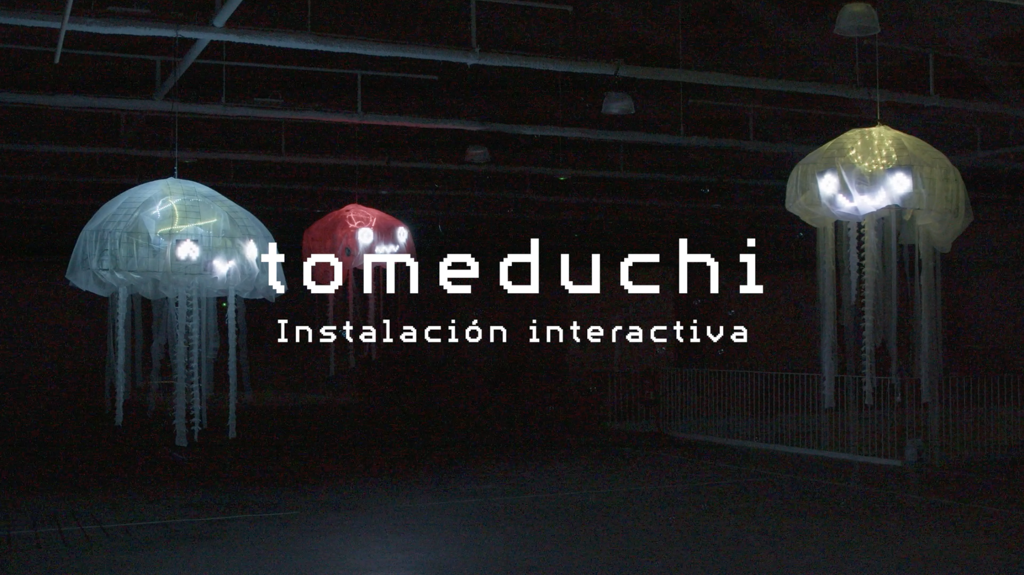 Tomeduchi — Off Llum 24